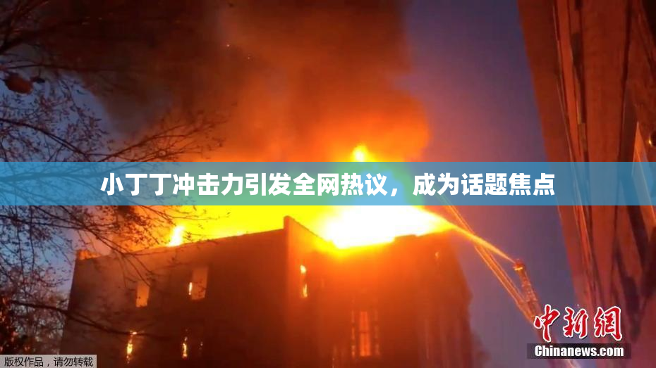 小丁丁冲击力引发全网热议，成为话题焦点