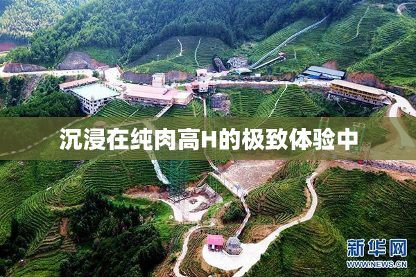 沉浸在纯肉高H的极致体验中
