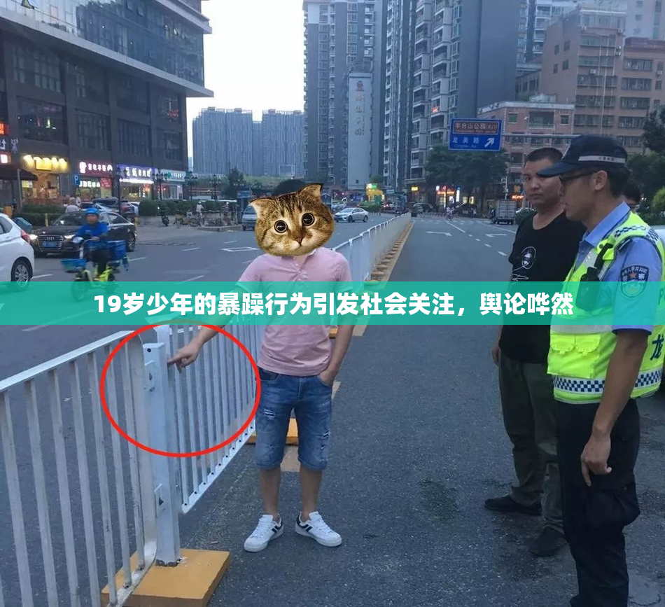 19岁少年的暴躁行为引发社会关注，舆论哗然