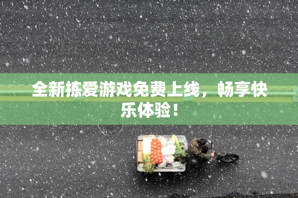全新拣爱游戏免费上线，畅享快乐体验！