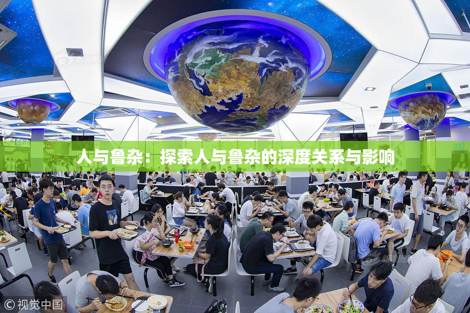 人与鲁杂：探索人与鲁杂的深度关系与影响
