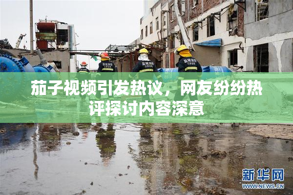 茄子视频引发热议，网友纷纷热评探讨内容深意
