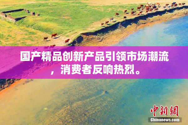国产精品创新产品引领市场潮流，消费者反响热烈。