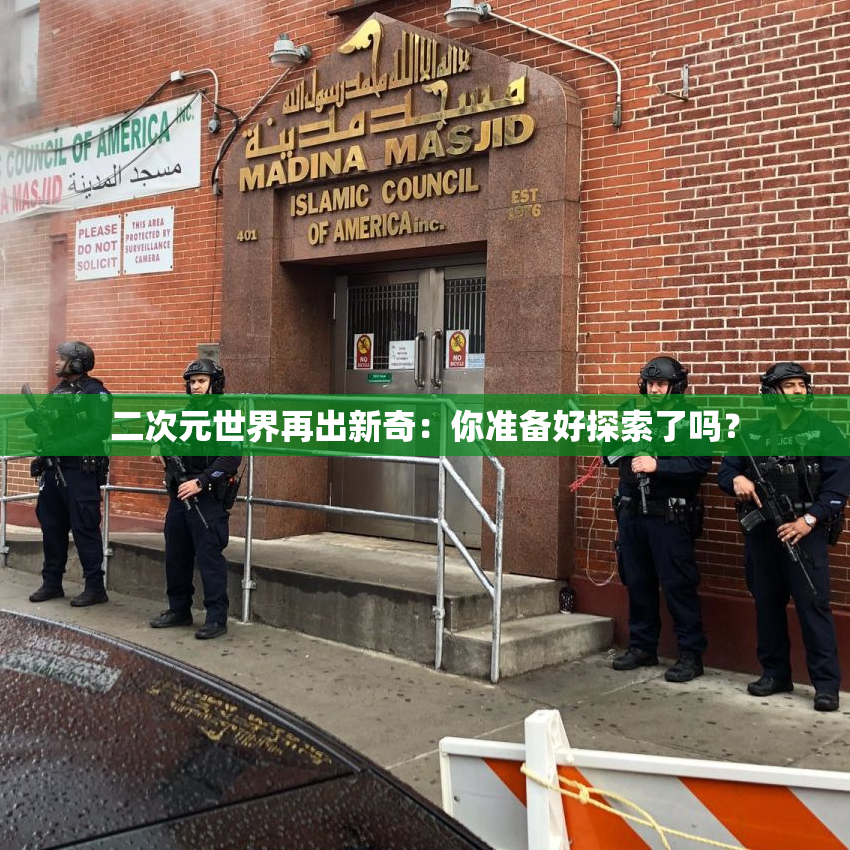 二次元世界再出新奇：你准备好探索了吗？