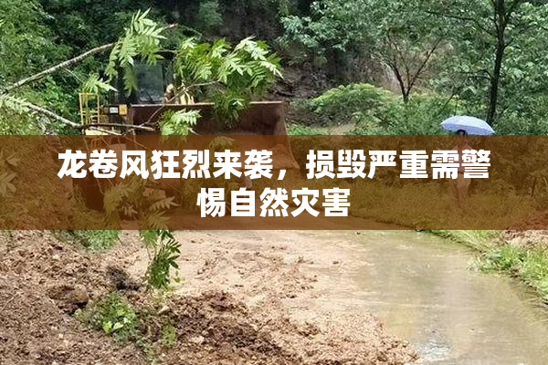 龙卷风狂烈来袭，损毁严重需警惕自然灾害