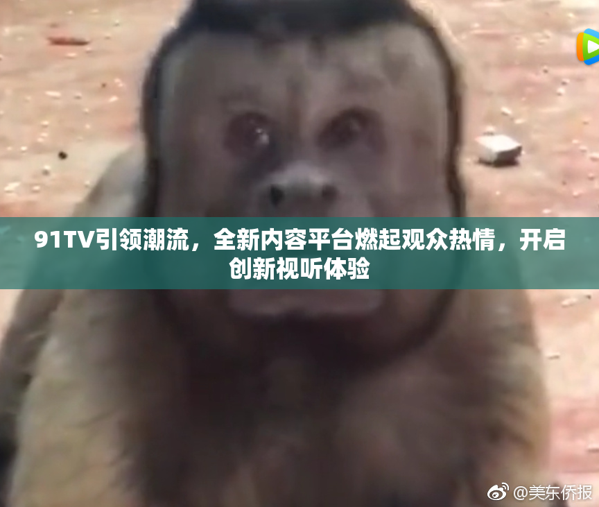91TV引领潮流，全新内容平台燃起观众热情，开启创新视听体验