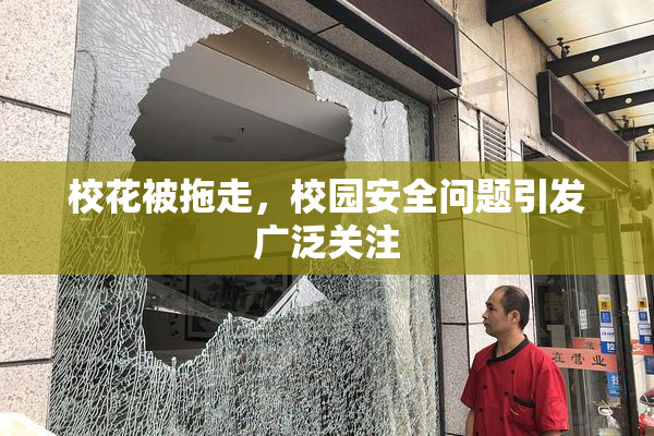 校花被拖走，校园安全问题引发广泛关注