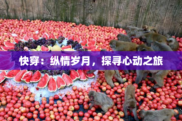 快穿：纵情岁月，探寻心动之旅
