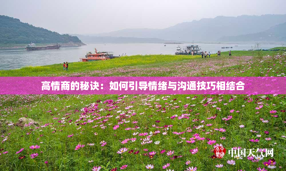 高情商的秘诀：如何引导情绪与沟通技巧相结合
