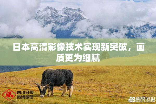 日本高清影像技术实现新突破，画质更为细腻