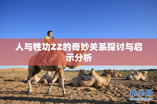 人与牲功ZZ的奇妙关系探讨与启示分析