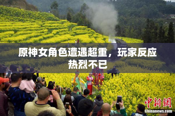 原神女角色遭遇超重，玩家反应热烈不已