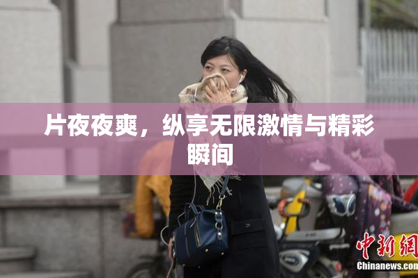 片夜夜爽，纵享无限激情与精彩瞬间