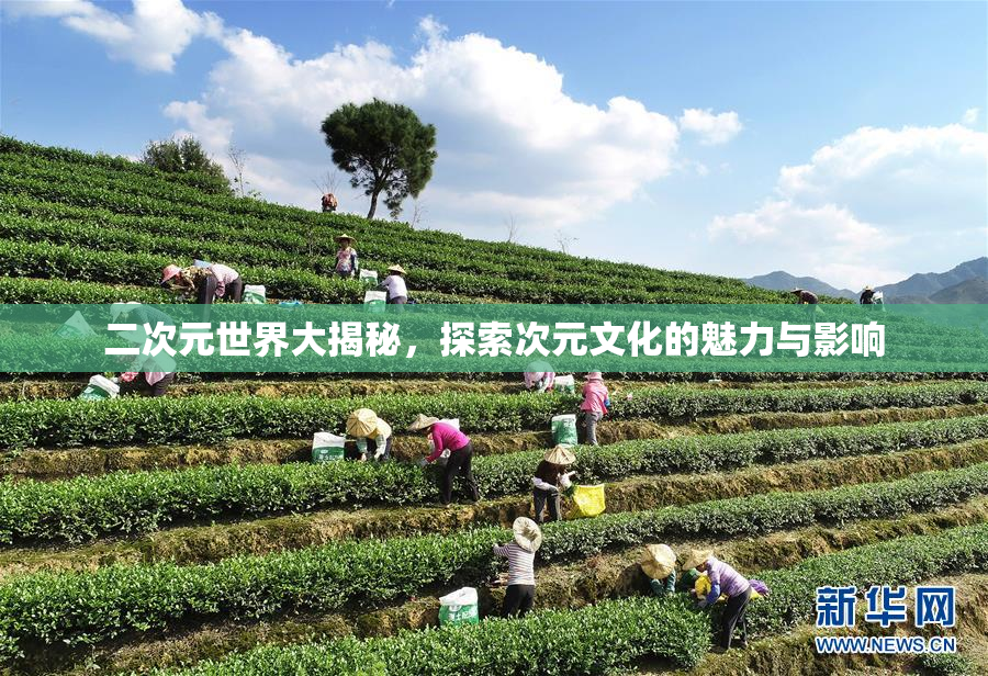 二次元世界大揭秘，探索次元文化的魅力与影响