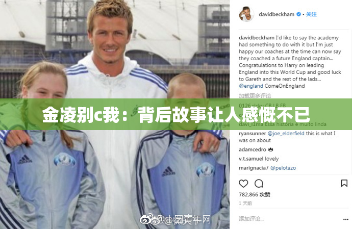 金凌别c我：背后故事让人感慨不已