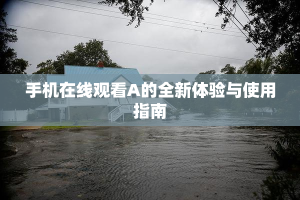 手机在线观看A的全新体验与使用指南