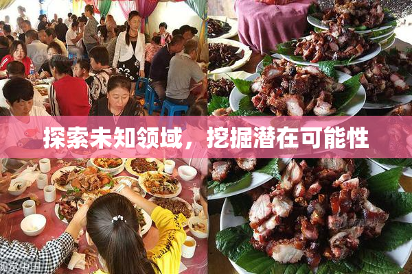 探索未知领域，挖掘潜在可能性
