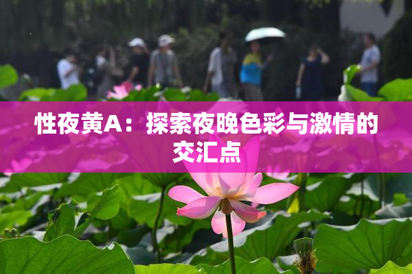 性夜黄A：探索夜晚色彩与激情的交汇点