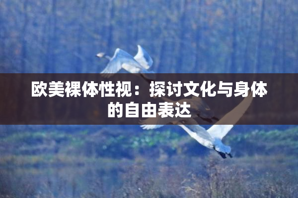欧美裸体性视：探讨文化与身体的自由表达