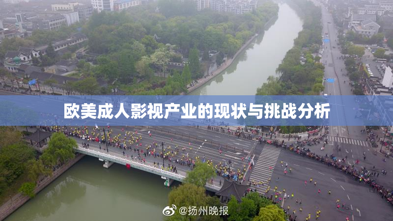 欧美成人影视产业的现状与挑战分析