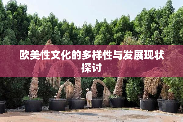 欧美性文化的多样性与发展现状探讨