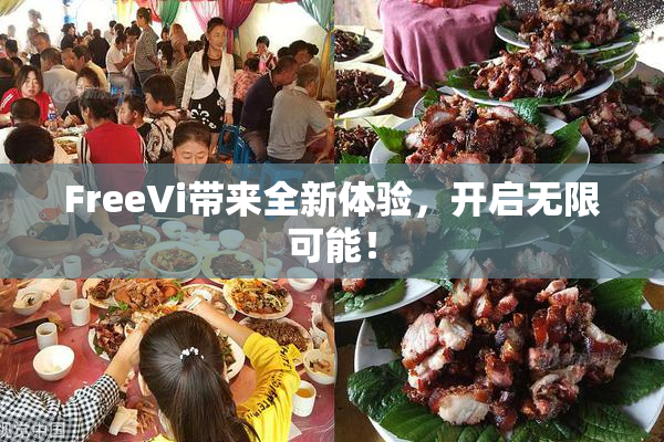 FreeVi带来全新体验，开启无限可能！