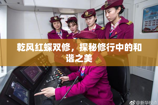 乾风红蝶双修，探秘修行中的和谐之美