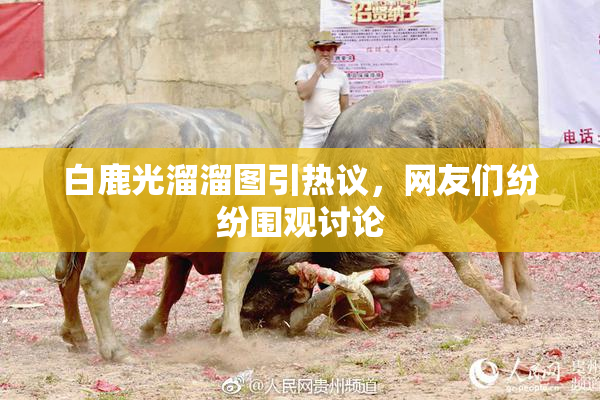 白鹿光溜溜图引热议，网友们纷纷围观讨论