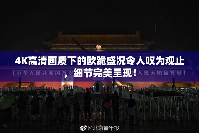 4K高清画质下的欧跪盛况令人叹为观止，细节完美呈现！