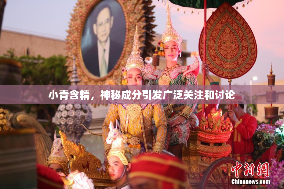 小青含精，神秘成分引发广泛关注和讨论