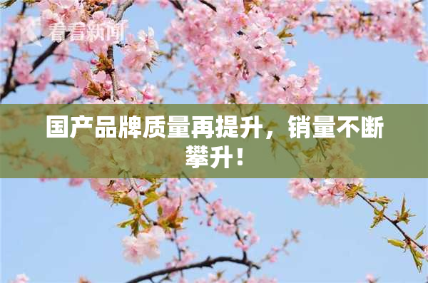 国产品牌质量再提升，销量不断攀升！