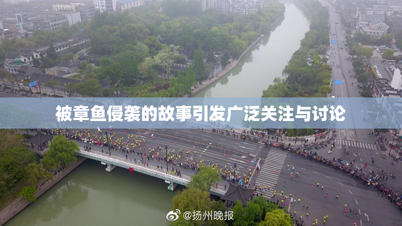 被章鱼侵袭的故事引发广泛关注与讨论