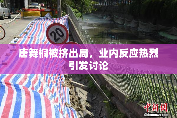 唐舞桐被挤出局，业内反应热烈引发讨论