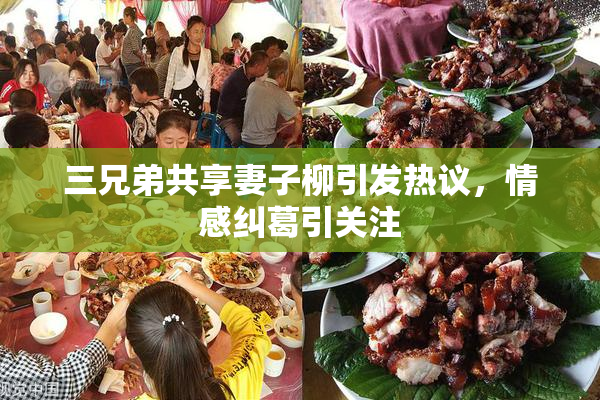 三兄弟共享妻子柳引发热议，情感纠葛引关注