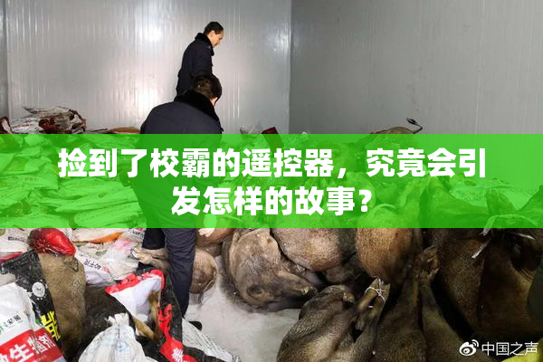 捡到了校霸的遥控器，究竟会引发怎样的故事？