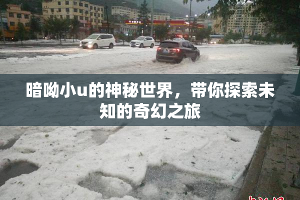 暗呦小u的神秘世界，带你探索未知的奇幻之旅