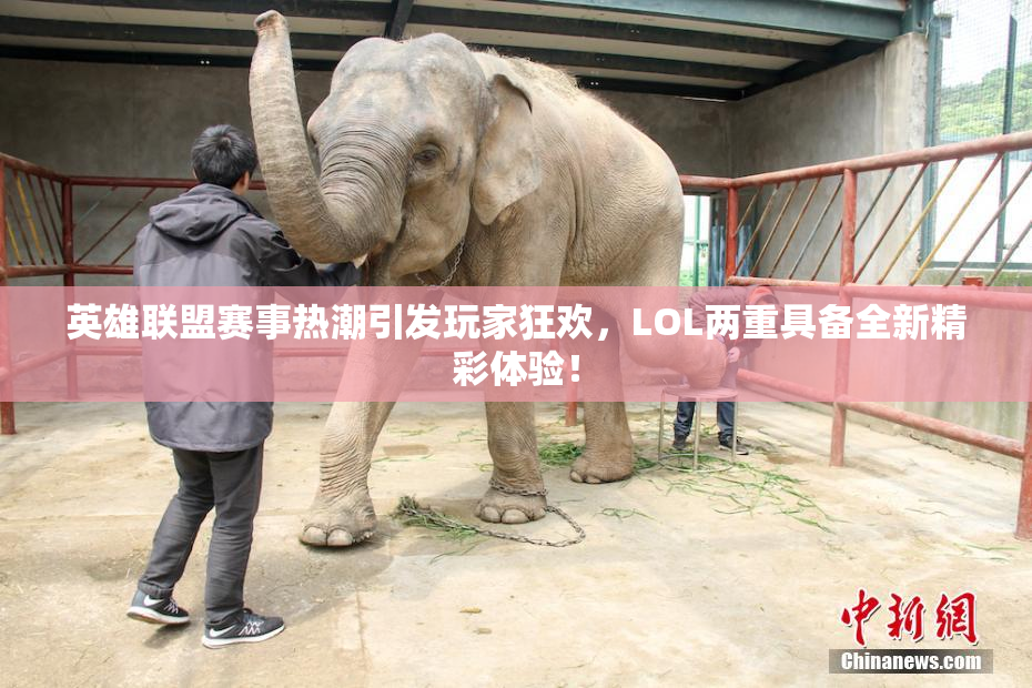 英雄联盟赛事热潮引发玩家狂欢，LOL两重具备全新精彩体验！