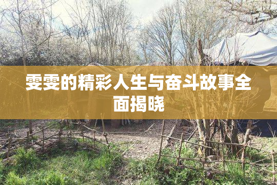 雯雯的精彩人生与奋斗故事全面揭晓