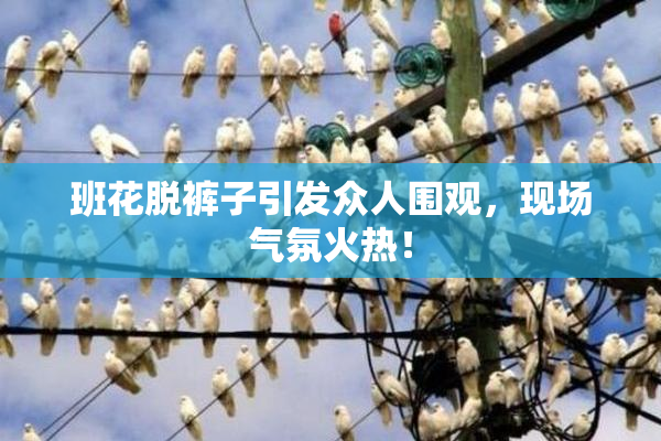 班花脱裤子引发众人围观，现场气氛火热！
