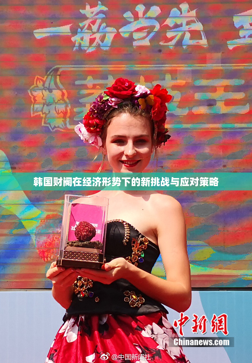 韩国财阀在经济形势下的新挑战与应对策略