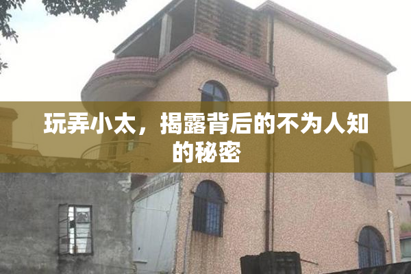 玩弄小太，揭露背后的不为人知的秘密