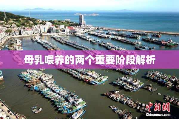 母乳喂养的两个重要阶段解析