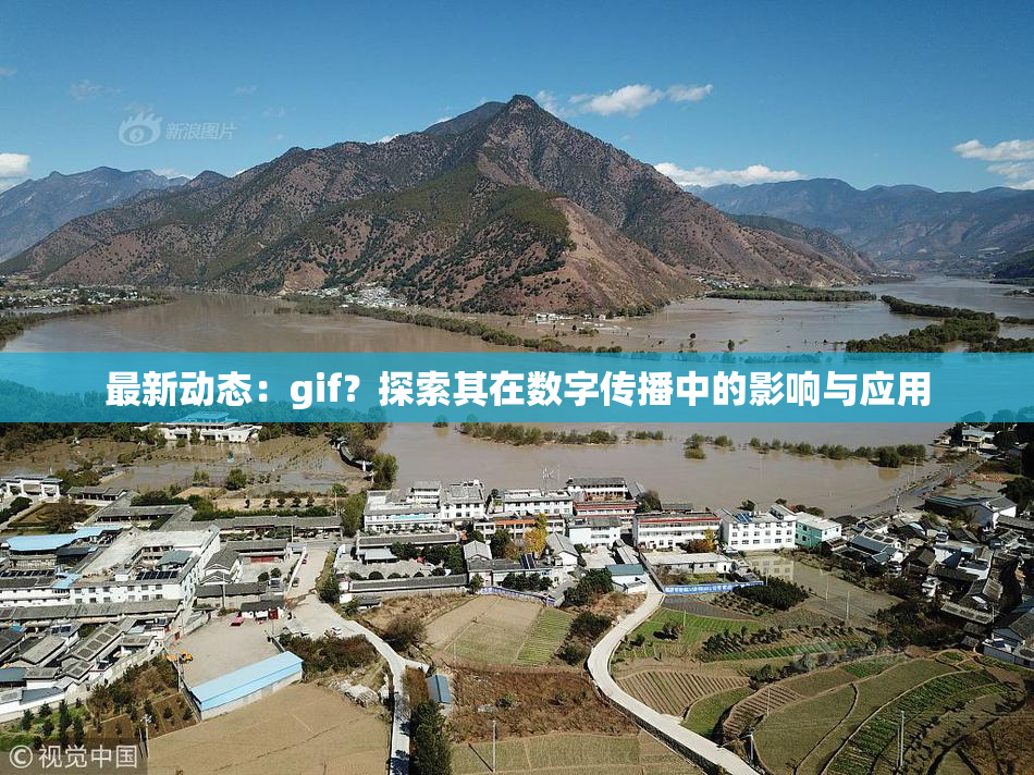 最新动态：gif？探索其在数字传播中的影响与应用