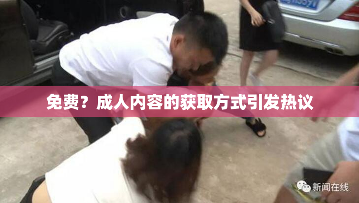 免费？成人内容的获取方式引发热议