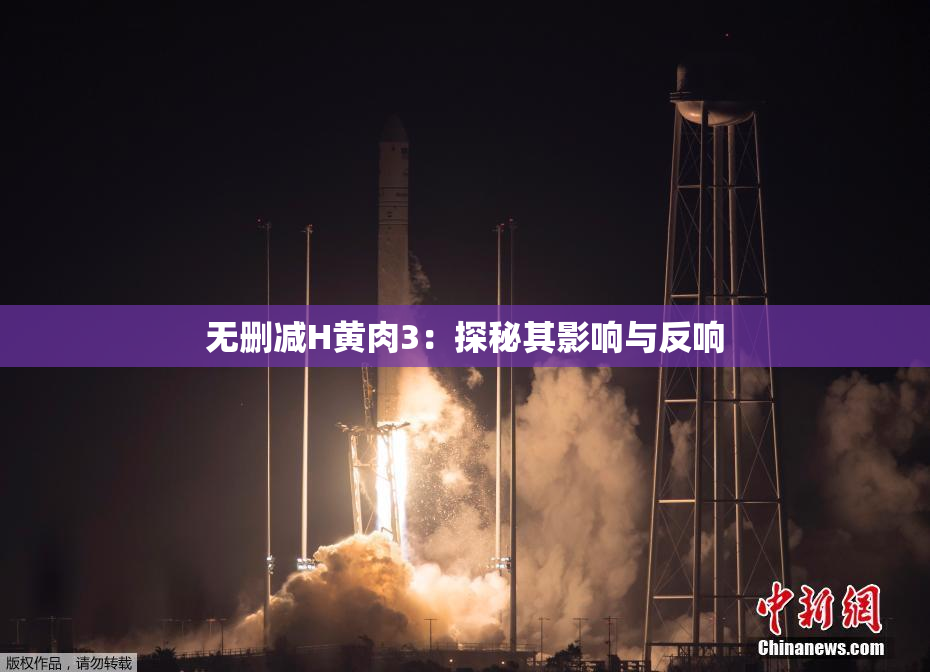 无删减H黄肉3：探秘其影响与反响