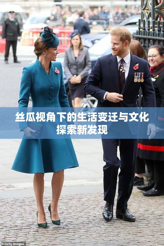 丝瓜视角下的生活变迁与文化探索新发现