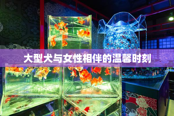 大型犬与女性相伴的温馨时刻