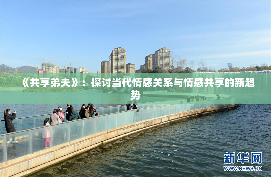 《共享弟夫》：探讨当代情感关系与情感共享的新趋势