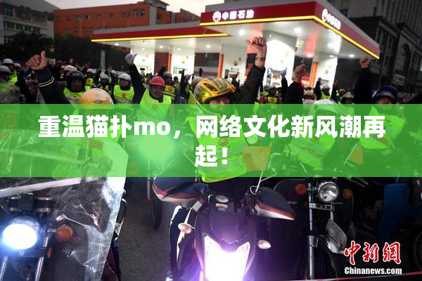重温猫扑mo，网络文化新风潮再起！