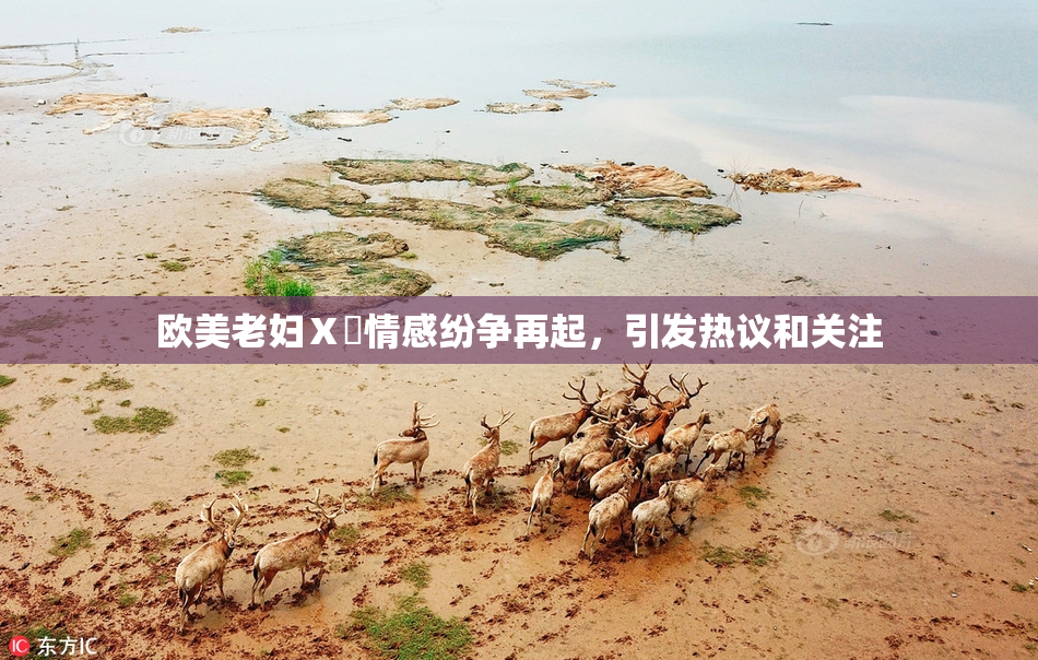 欧美老妇Ⅹ乄情感纷争再起，引发热议和关注